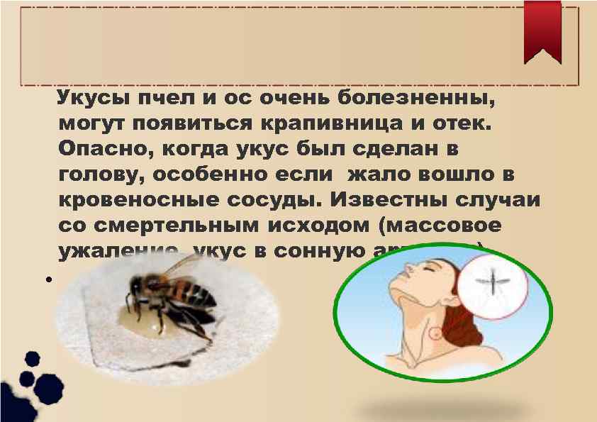 Тема укусы насекомых. Насекомые и защита от них. Укусы насекомых и защита от них.