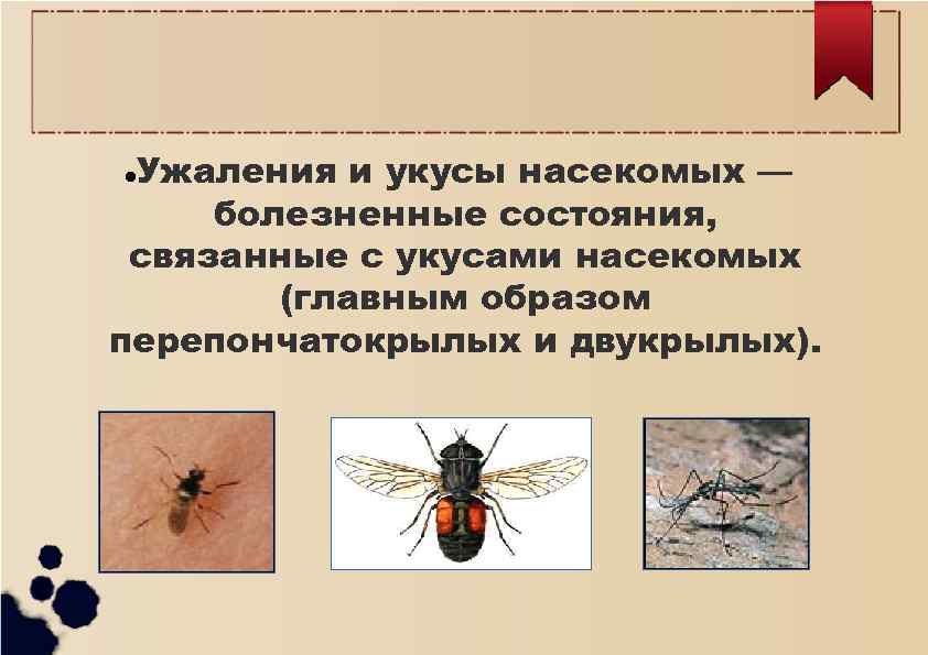 Укусы насекомых сообщение. Классификация укусов насекомых. Укусы насекомых и защита от них. Укусы перепончатокрылых.