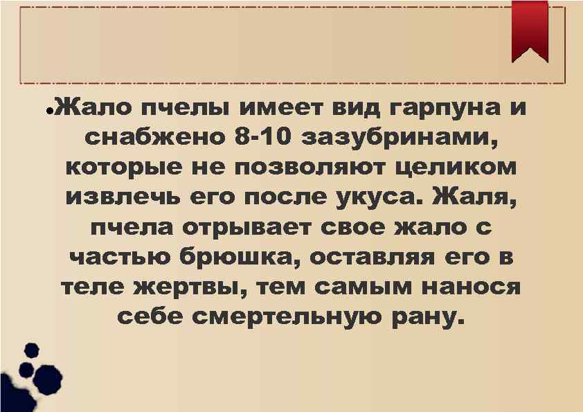 Жало пчелы имеет вид гарпуна и снабжено 8 -10 зазубринами, которые не позволяют целиком