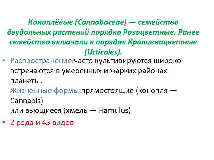 Коноплёвые (Cannabaceae) — семейство двудольных растений порядка Розоцветные. Ранее семейство включали в порядок Крапивноцветные