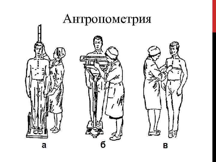 Измерение роста схема