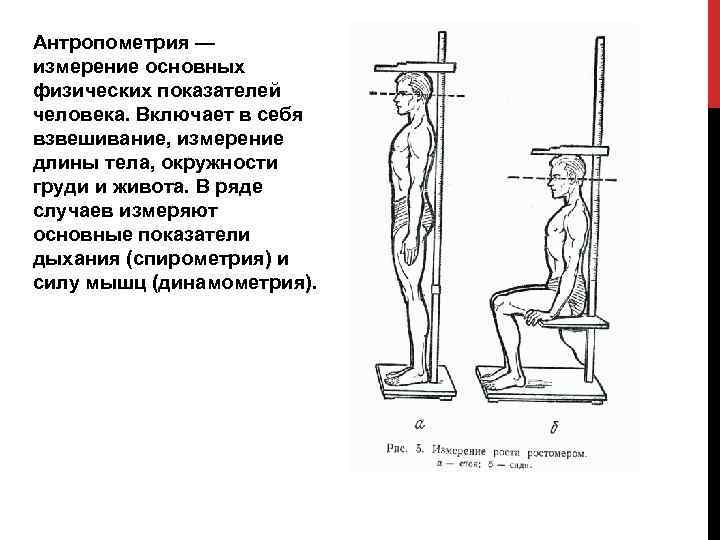 Антропометрия это. Антропометрия человеческого тела. Антропометрия измерительные приборы. Измерение длин тела антропометрия. Антропометрия измерения длины тела стоя.