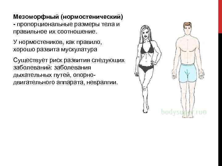 Мезоморфный (нормостенический) - пропорциональные размеры тела и правильное их соотношение. У нормостеников, как правило,