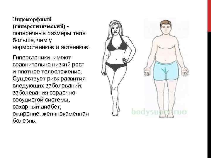 Эндоморфный (гиперстенический) поперечные размеры тела больше, чем у нормостеников и астеников. Гиперстеники имеют сравнительно