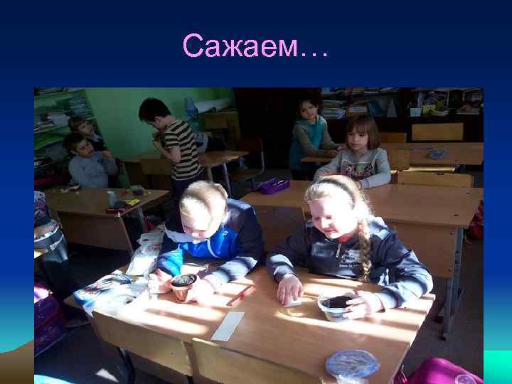 Сажаем… 