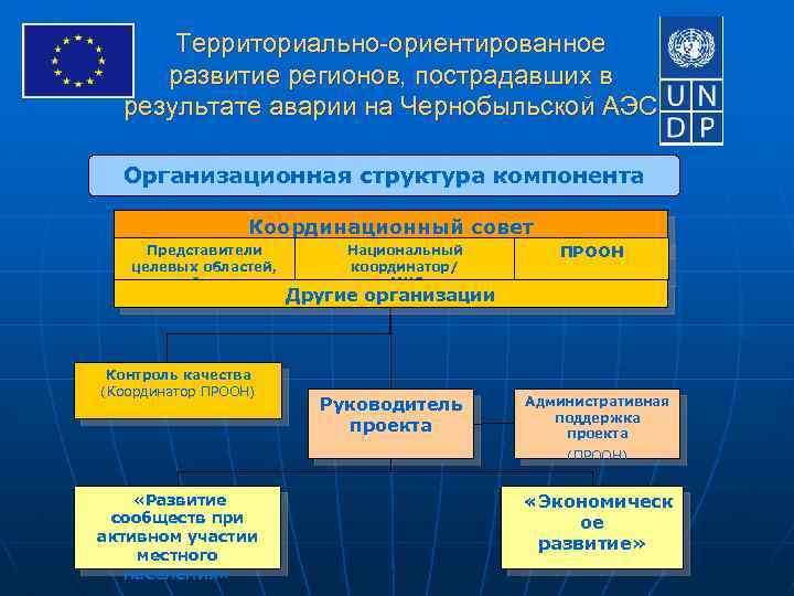 Территориально-ориентированное развитие регионов, пострадавших в результате аварии на Чернобыльской АЭС Организационная структура компонента Координационный