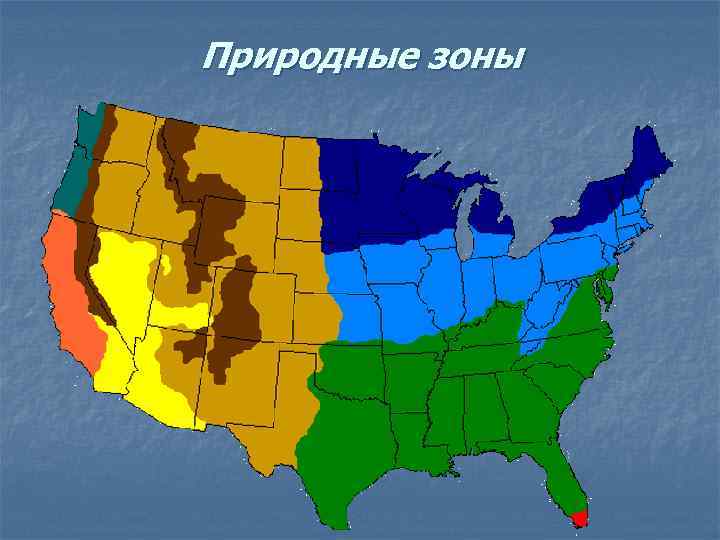 Природные зоны 