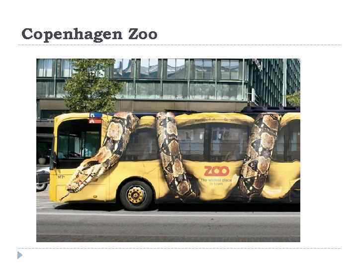 Copenhagen Zoo 