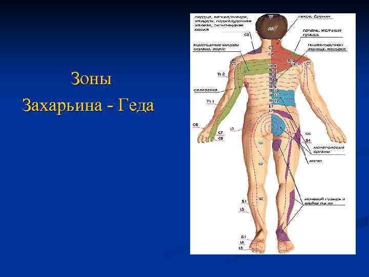Зоны Захарьина - Геда 