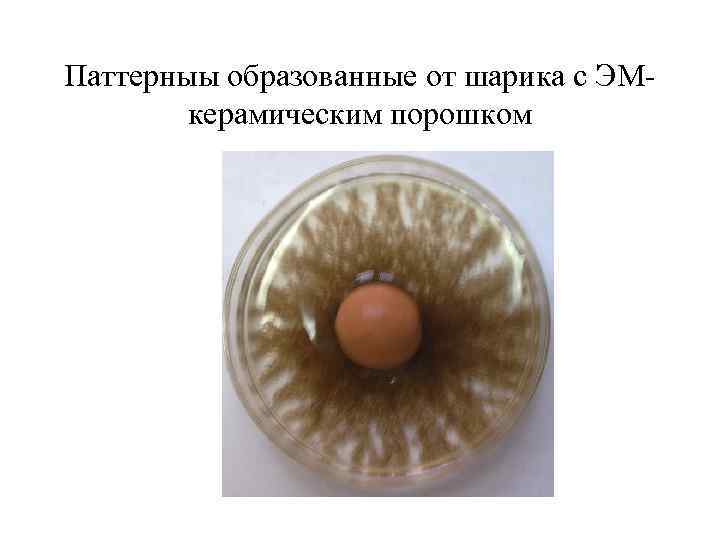 Паттерныы образованные от шарика с ЭМкерамическим порошком 