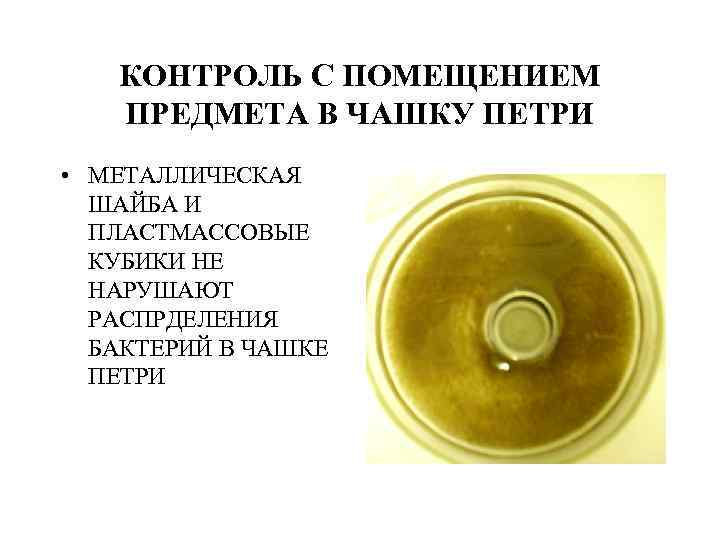 КОНТРОЛЬ С ПОМЕЩЕНИЕМ ПРЕДМЕТА В ЧАШКУ ПЕТРИ • МЕТАЛЛИЧЕСКАЯ ШАЙБА И ПЛАСТМАССОВЫЕ КУБИКИ НЕ