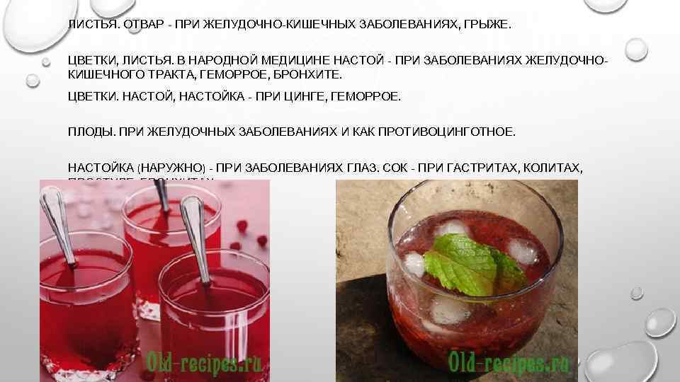 ЛИСТЬЯ. ОТВАР - ПРИ ЖЕЛУДОЧНО-КИШЕЧНЫХ ЗАБОЛЕВАНИЯХ, ГРЫЖЕ. ЦВЕТКИ, ЛИСТЬЯ. В НАРОДНОЙ МЕДИЦИНЕ НАСТОЙ -