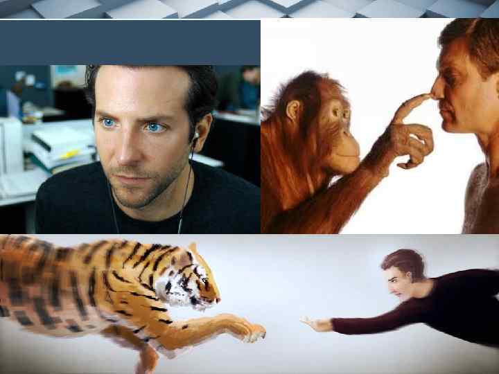 Pro. Power. Point. Ru 