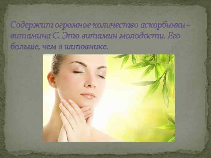 Содержит огромное количество аскорбинки витамина С. Это витамин молодости. Его больше, чем в шиповнике.