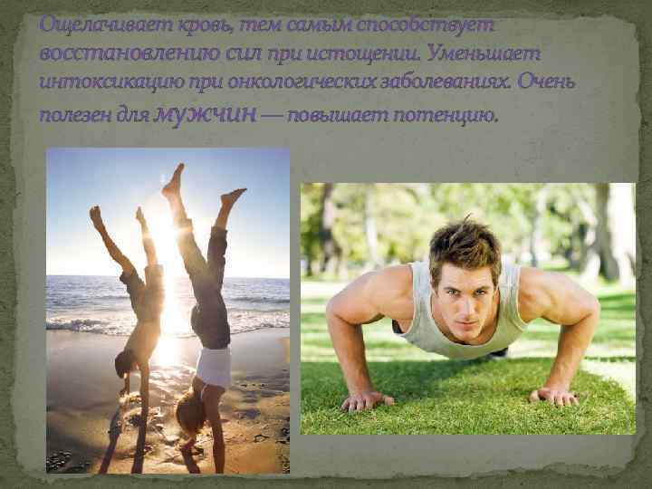 Ощелачивает кровь, тем самым способствует восстановлению сил при истощении. Уменьшает интоксикацию при онкологических заболеваниях.