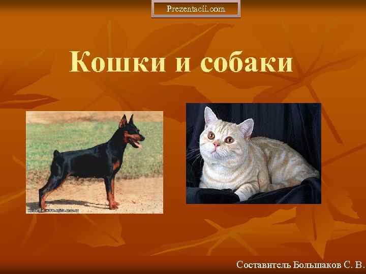 Prezentacii. com Кошки и собаки Составитель Большаков С. В. 