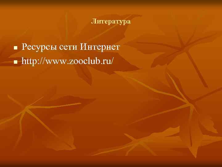 Литература n n Ресурсы сети Интернет http: //www. zooclub. ru/ 