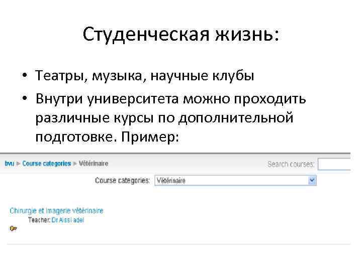 Студенческая жизнь: • Театры, музыка, научные клубы • Внутри университета можно проходить различные курсы