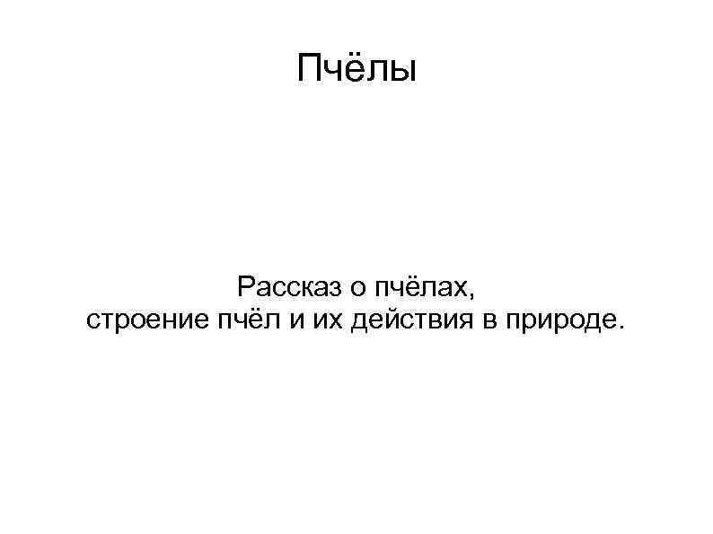 Пчёлы Рассказ о пчёлах, строение пчёл и их действия в природе. 