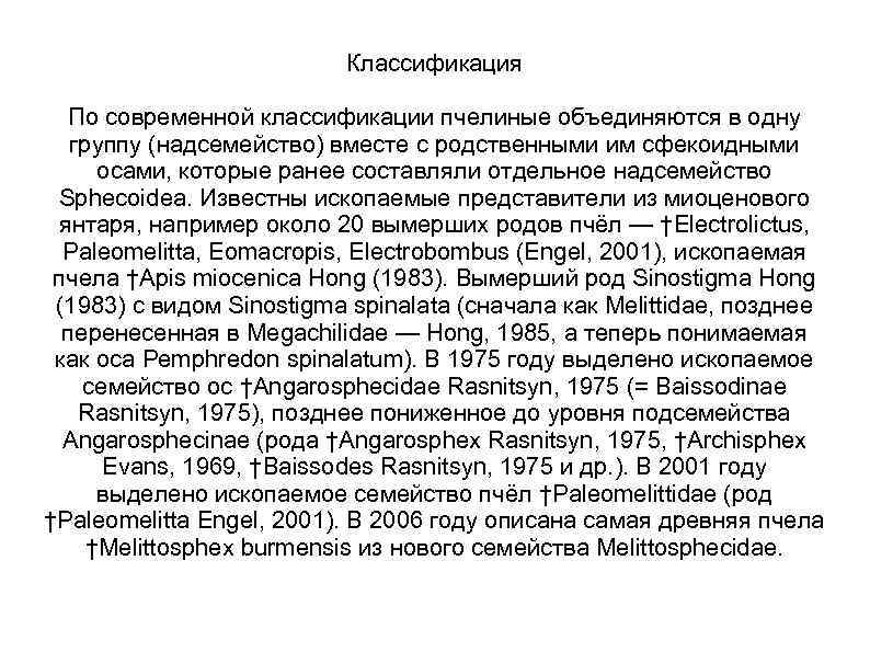 Классификация По современной классификации пчелиные объединяются в одну группу (надсемейство) вместе с родственными им