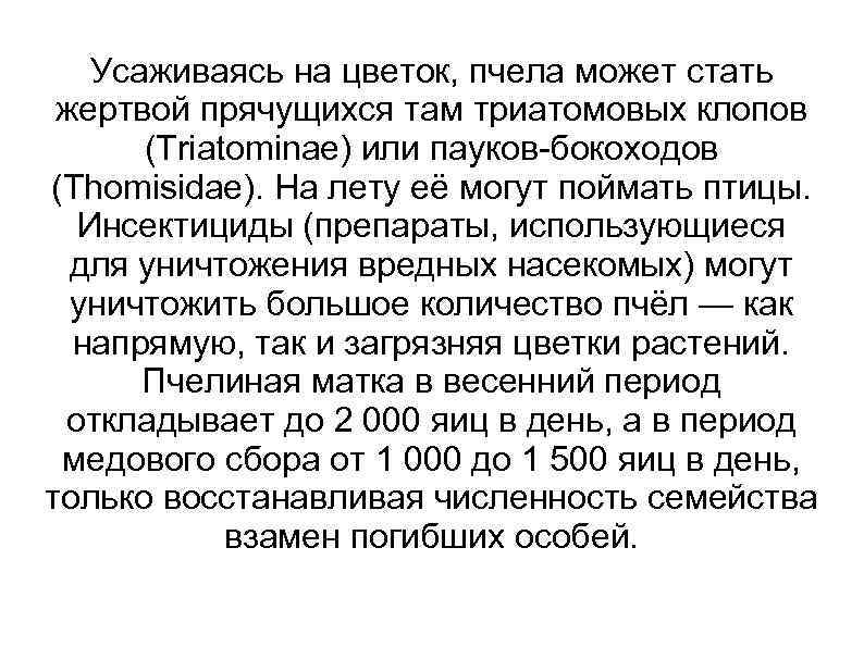 Усаживаясь на цветок, пчела может стать жертвой прячущихся там триатомовых клопов (Triatominae) или пауков-бокоходов
