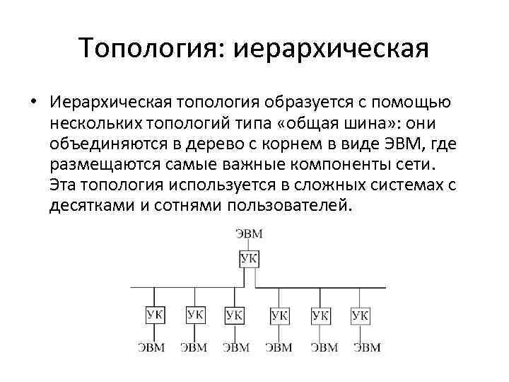 Топология: иерархическая • Иерархическая топология образуется с помощью нескольких топологий типа «общая шина» :