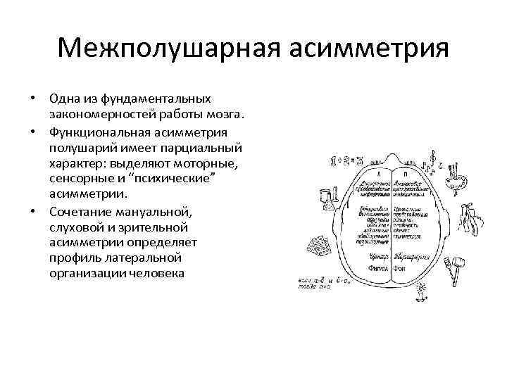 Межполушарная асимметрия. Парциальный характер функциональной асимметрии. Функциональная асимметрия мозга. Профиль межполушарной асимметрии. Профили межполушарной асимметрии мозга.