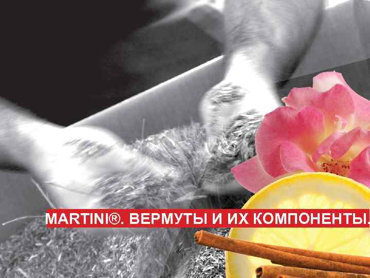 MARTINI®. ВЕРМУТЫ И ИХ КОМПОНЕНТЫ. 