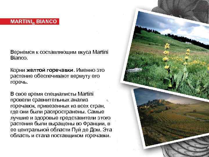 MARTINI® BIANCO Вернемся к составляющим вкуса Martini Bianco. Корни желтой горечавки. Именно это растение