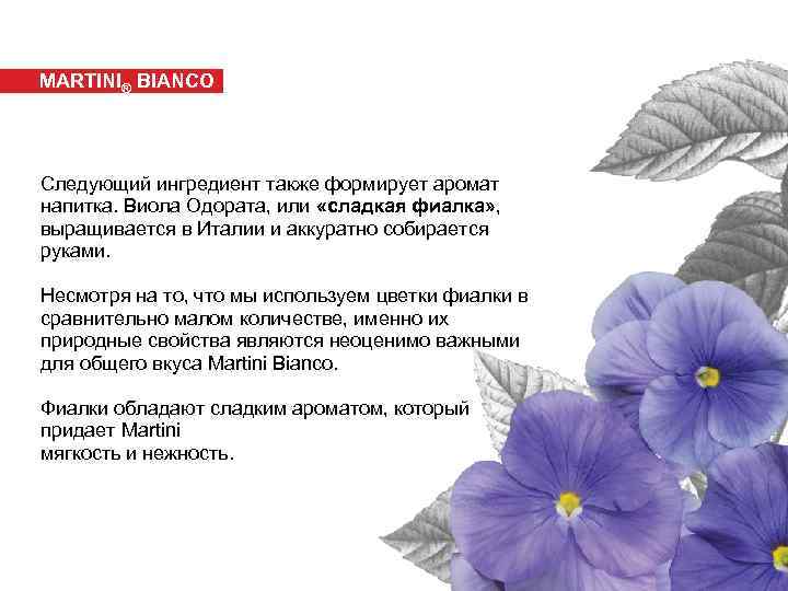 MARTINI® BIANCO Следующий ингредиент также формирует аромат напитка. Виола Одората, или «сладкая фиалка» ,