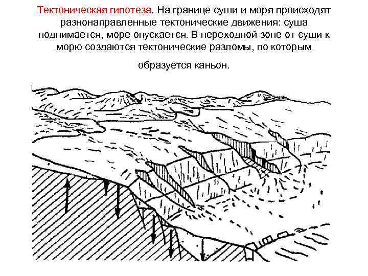 Тектоническая гипотеза. На границе суши и моря происходят разнонаправленные тектонические движения: суша поднимается, море