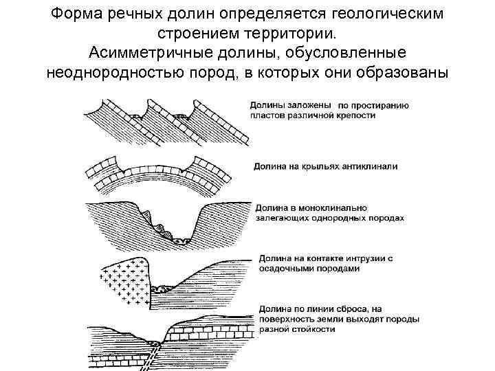 Форма речных долин определяется геологическим строением территории. Асимметричные долины, обусловленные неоднородностью пород, в которых