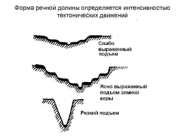 Формы рельефа рек. Тектонические типы речных Долин. Морфологические типы речных Долин. Тектоническая Долина. Антецедентная Долина.