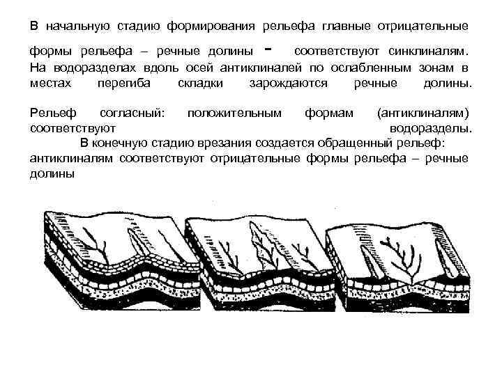 В начальную стадию формирования рельефа главные отрицательные - формы рельефа – речные долины соответствуют