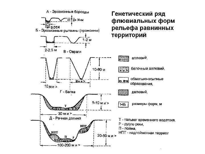 План и поперечный профиль оврага и балки