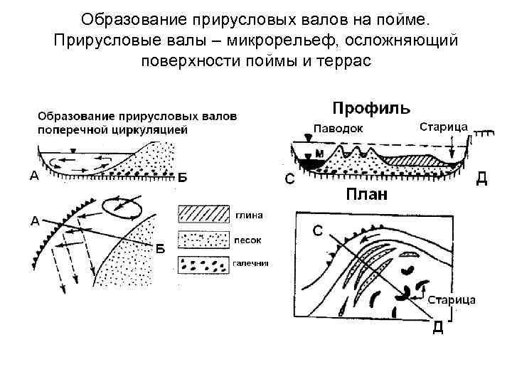 Образование прирусловых валов на пойме. Прирусловые валы – микрорельеф, осложняющий поверхности поймы и террас