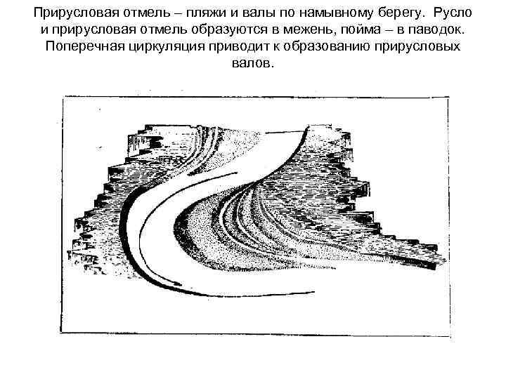 Прирусловая отмель – пляжи и валы по намывному берегу. Русло и прирусловая отмель образуются