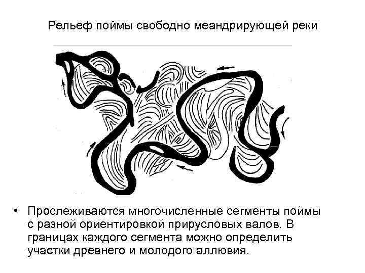 Рельеф поймы свободно меандрирующей реки • Прослеживаются многочисленные сегменты поймы с разной ориентировкой прирусловых