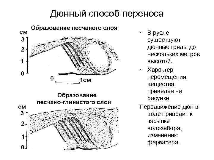 Дюнный способ переноса • В русле существуют дюнные гряды до нескольких метров высотой. •