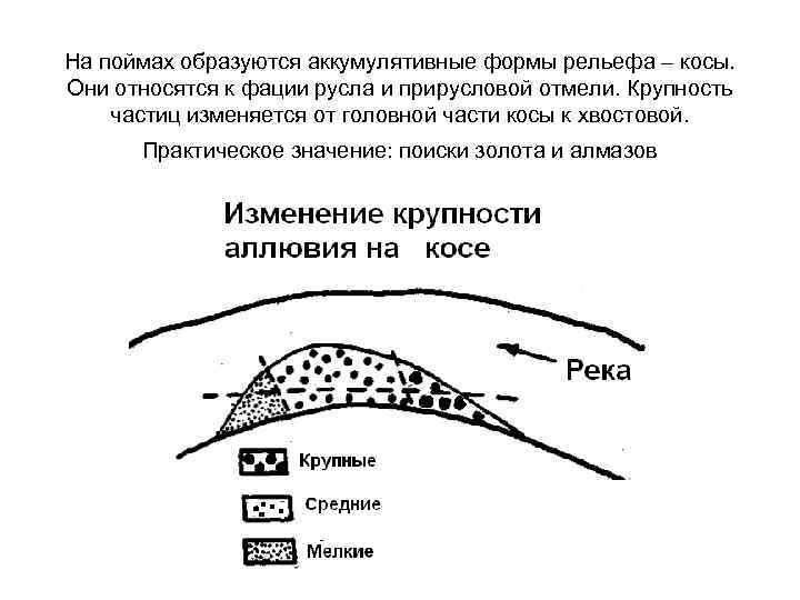 На поймах образуются аккумулятивные формы рельефа – косы. Они относятся к фации русла и