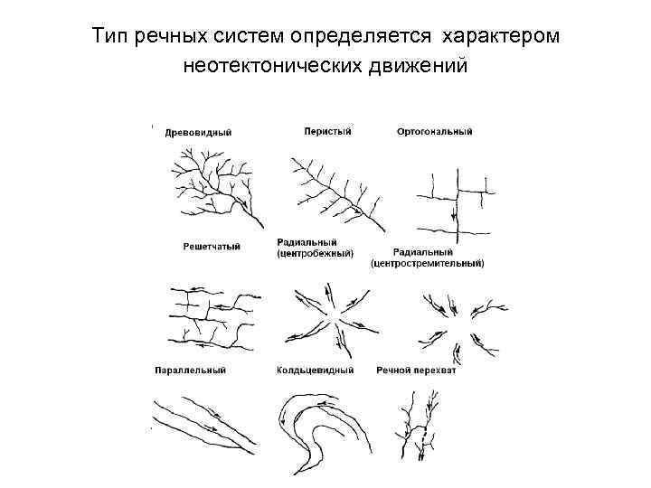 Тип речных систем определяется характером неотектонических движений 