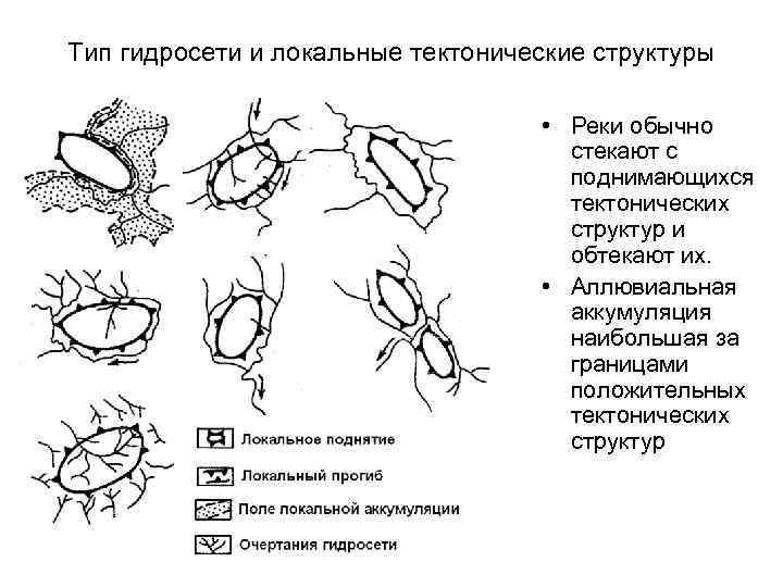 Тип гидросети и локальные тектонические структуры • Реки обычно стекают с поднимающихся тектонических структур