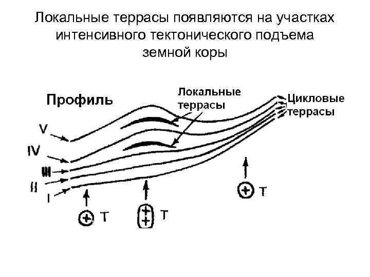 Локальные террасы появляются на участках интенсивного тектонического подъема земной коры 