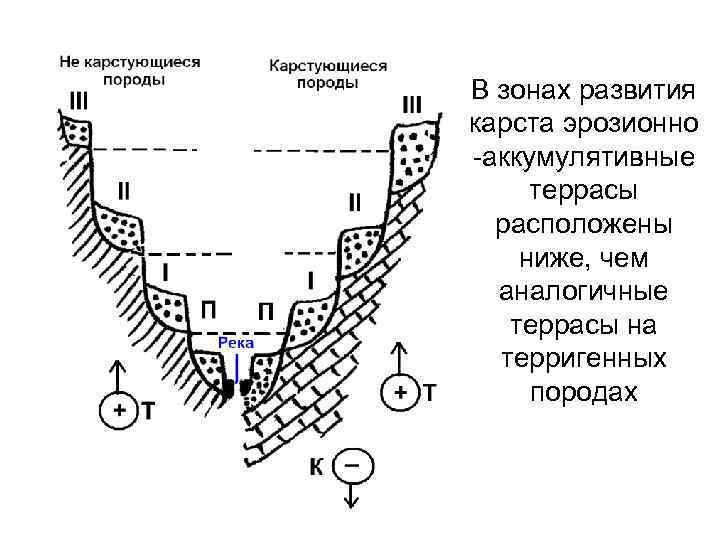 В зонах развития карста эрозионно -аккумулятивные террасы расположены ниже, чем аналогичные террасы на терригенных