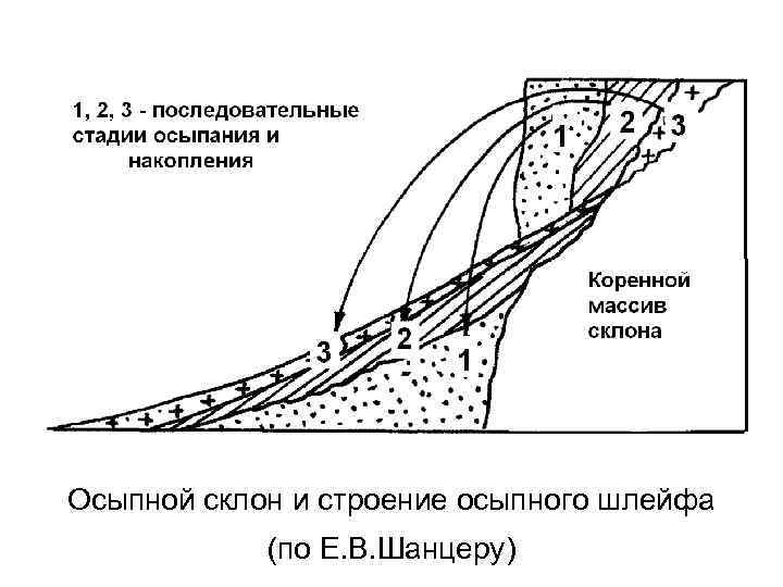 Осыпной склон и строение осыпного шлейфа (по Е. В. Шанцеру) 