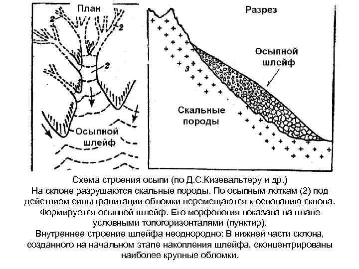 Схема строения осыпи (по Д. С. Кизевальтеру и др. ) На склоне разрушаются скальные