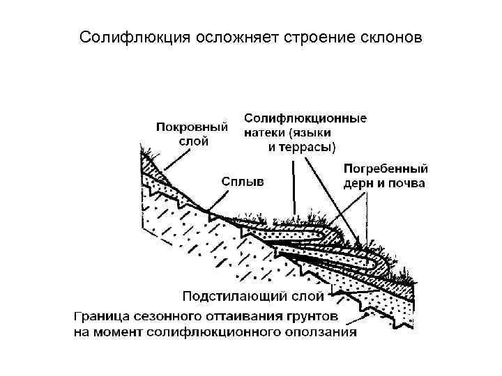 Солифлюкция осложняет строение склонов 