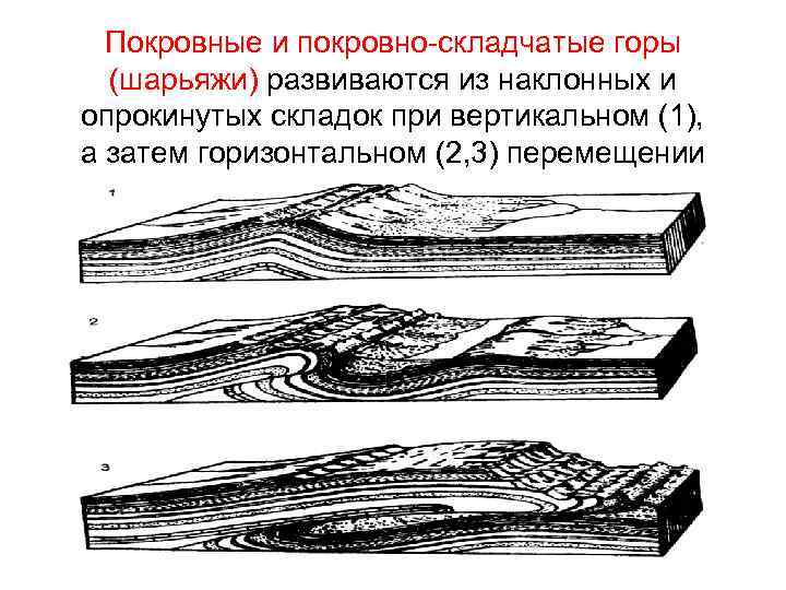 Рисунок на скале имеет прикладной характер