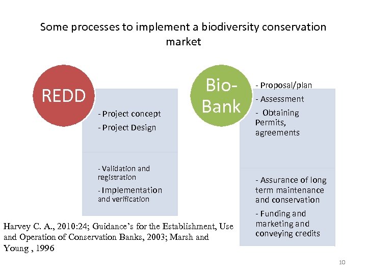 Some processes to implement a biodiversity conservation market REDD - Project concept - Project