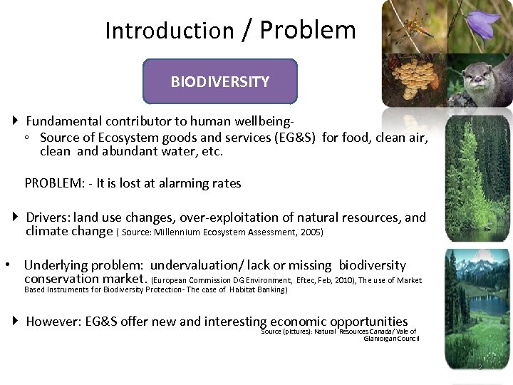 Introduction / Problem BIODIVERSITY Fundamental contributor to human wellbeing◦ Source of Ecosystem goods and
